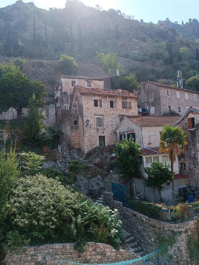 Guesthouse Bit Accommodation Kotor Exterior photo